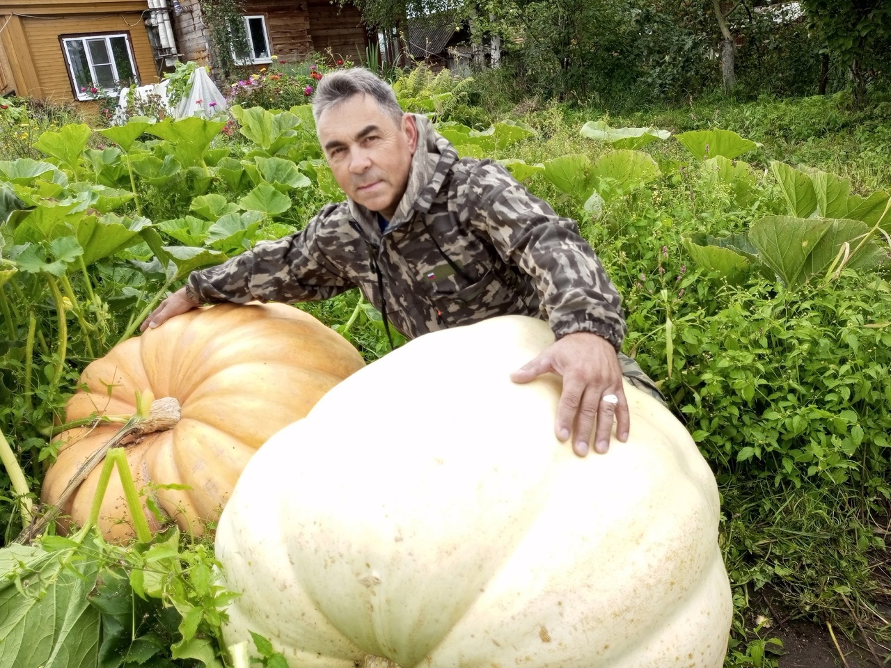 Во Владимирской области огородники вырастили гигантские тыквы
