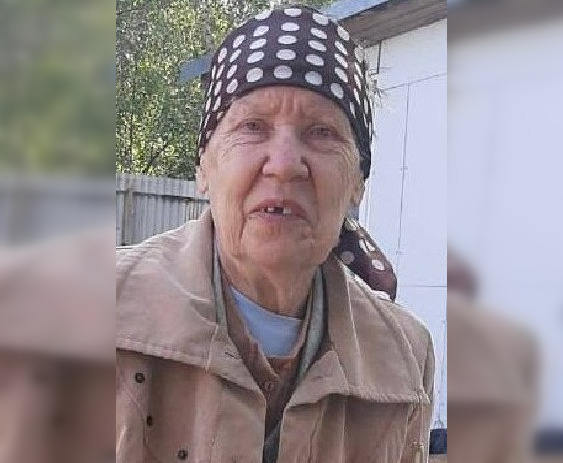 Во Владимирской области пропала 70-летняя пенсионерка 