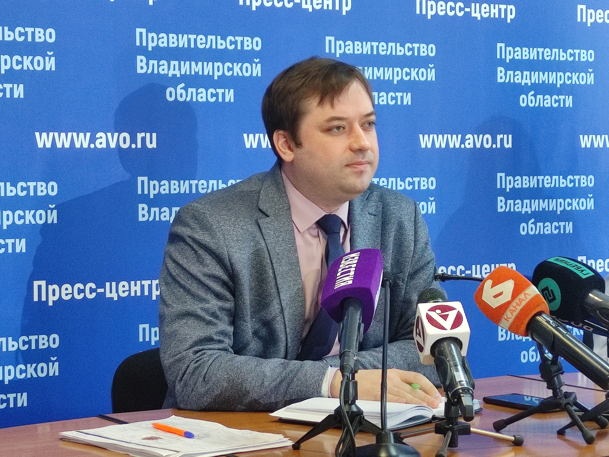 Министр здравоохранения Владимирской области может уйти в отставку