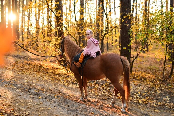 В Муромском районе хотят возбудить уголовное дело после падения ребенка с лошади