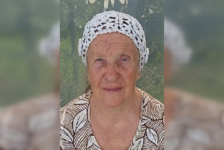 В лесах Владимирской области ищут 75-летнюю женщину в оранжевой кофте