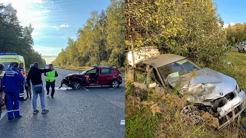 В аварии во Владимирской области погиб водитель и пострадали дети