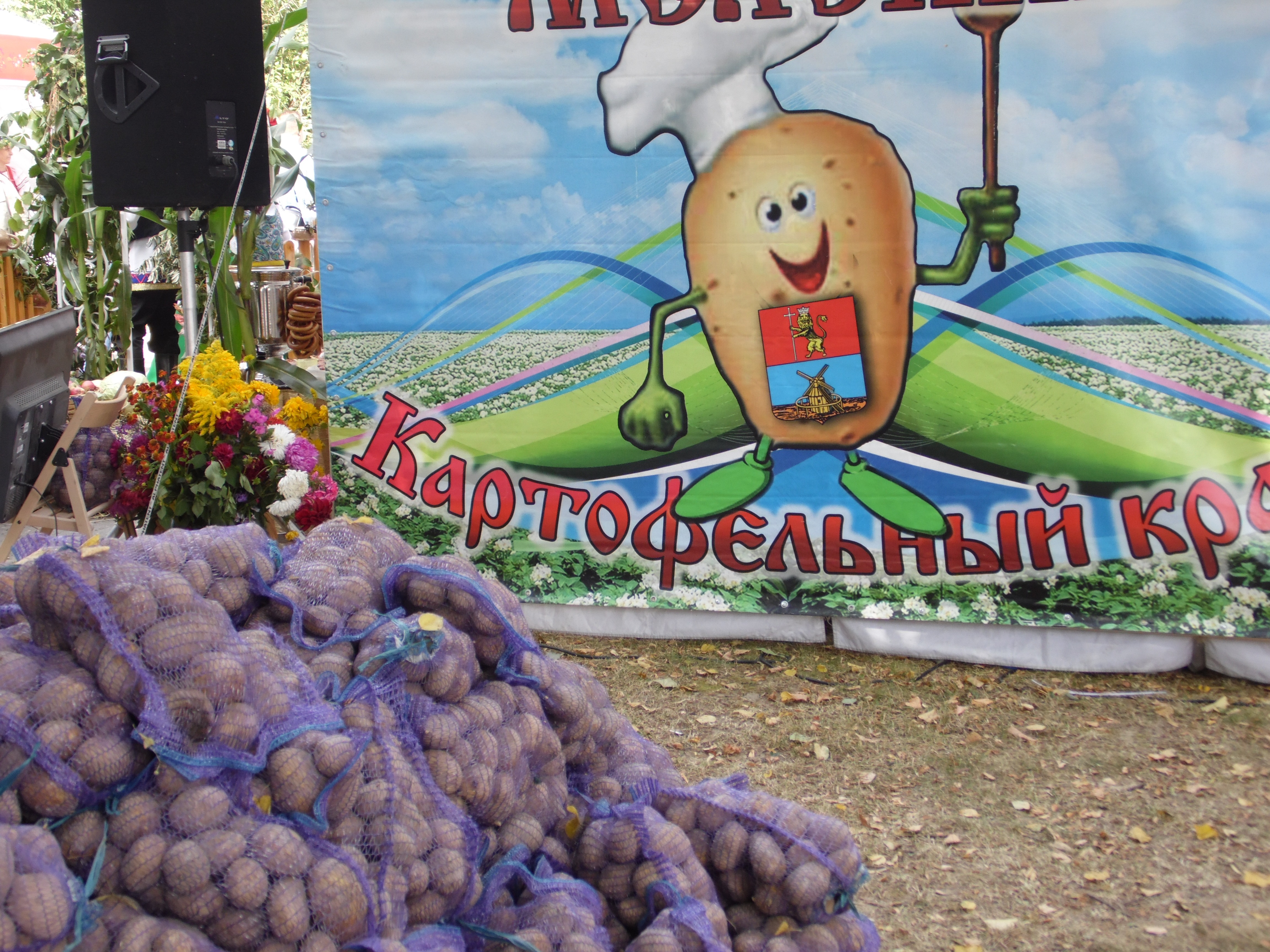 В Меленковском районе проходит День картошки