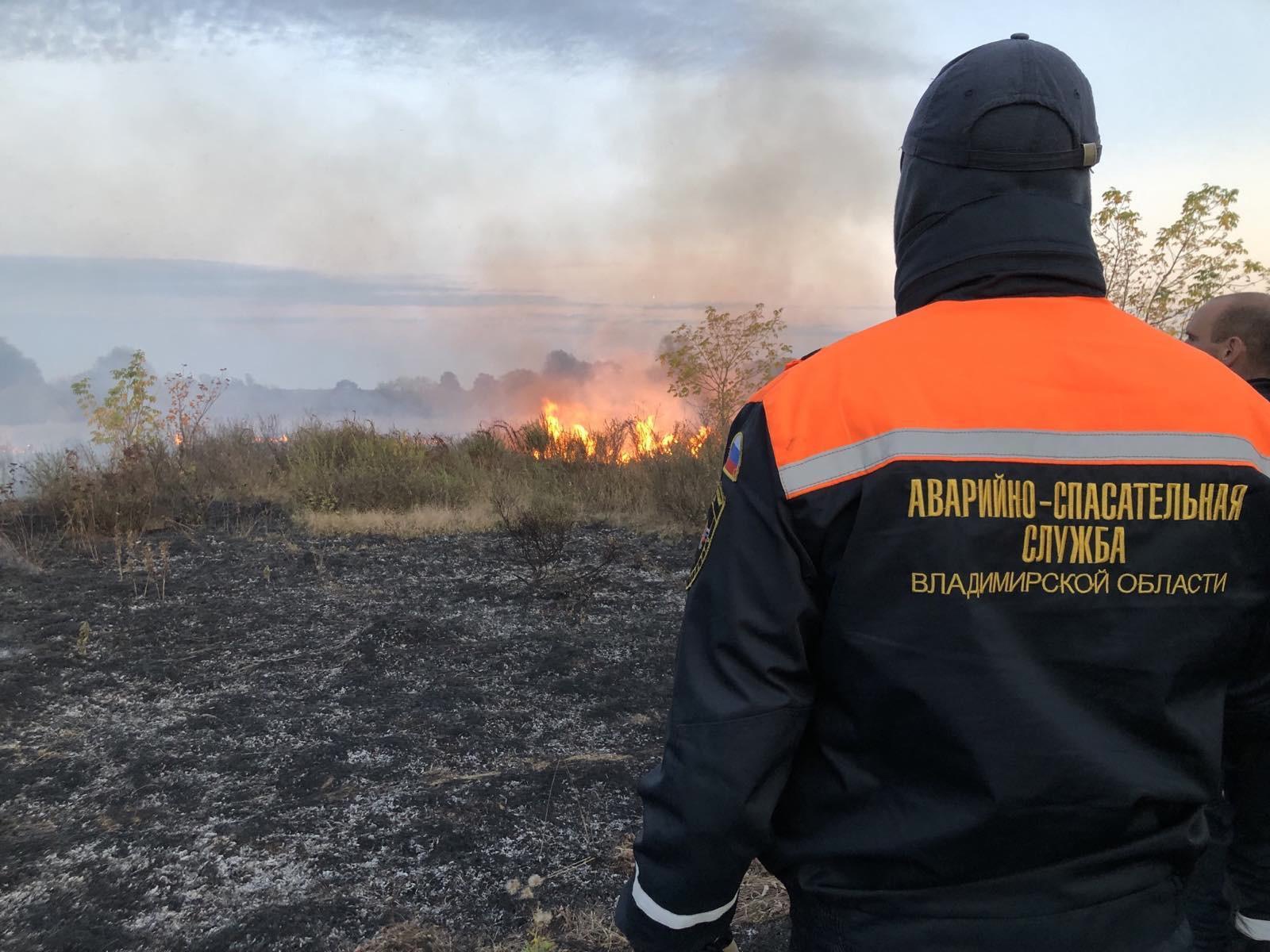 Во Владимирской области из-за аномальной жары загорелись трава и кустарники
