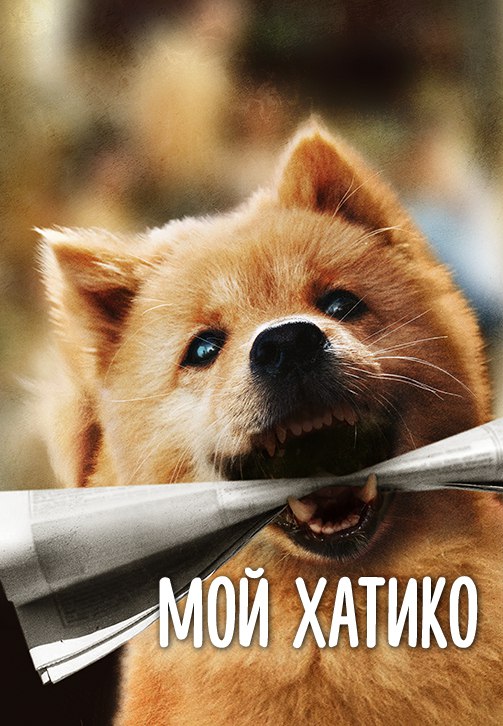  октябрьские премьеры в Wink — от турецких сериалов до корейского экшена