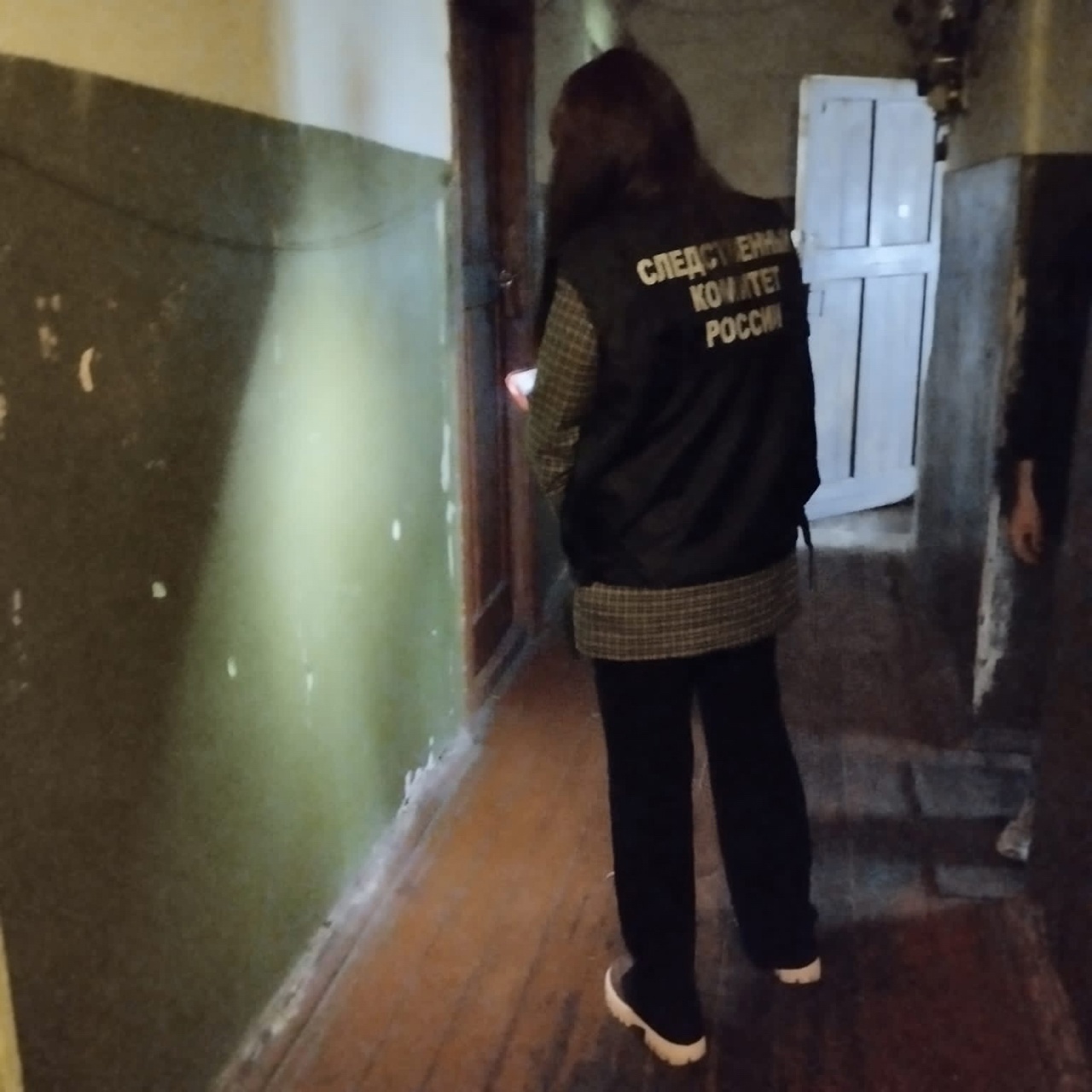 В Гусь-Хрустальном отправили под стражу двух сожителей, забивших насмерть новую знакомую 