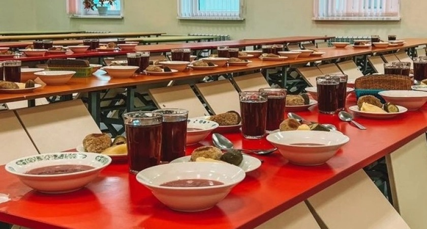 Во Владимире родители школьников пожаловались на невкусное и остывшее питание в учебных заведениях