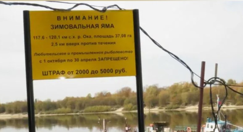 По 30 апреля 2024 года во Владимирской области запрещен вылов рыбы на зимовальных ямах 