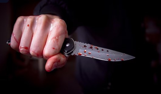 Кольчугинский "убийца с двумя ножами" получил 9 лет колонии строгого режима