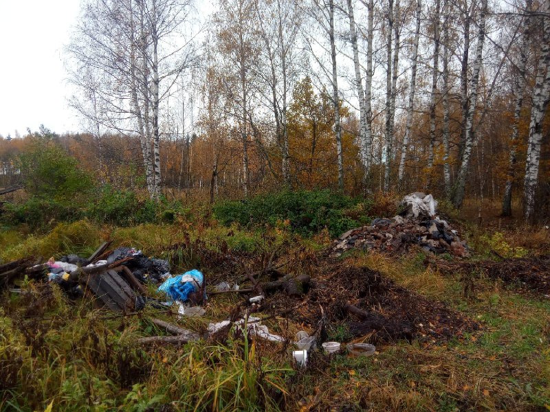 В охотничьих угодьях Юрьев-Польского района нашли 5 несанкционированных свалок