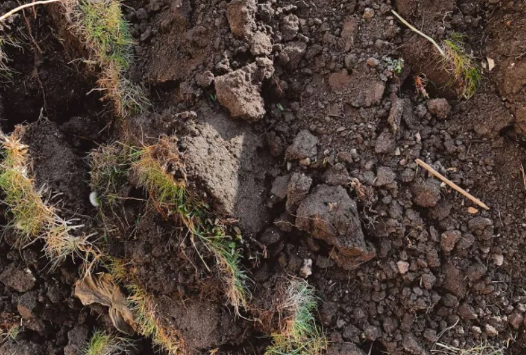 Во Владимирской области обнаружены факты деградации и загрязнения токсинами земель сельхозназначения