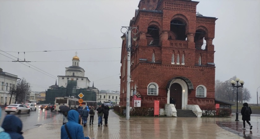 Жителей Владимирской области предупредили о крепком ветре