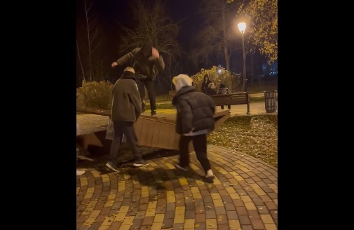В Муроме подростки-вандалы разломали дизайнерскую лавку в парке