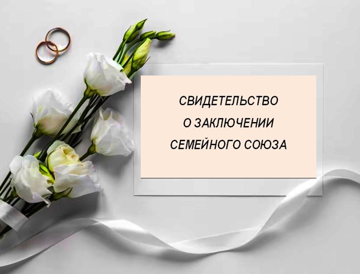 Молодоженам Владимирской область могут предложить на выбор заключение брака или семейного союза