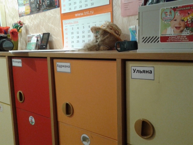 Владимирских родителей детсадовцев напугали требованием оформлять доверенность у нотариуса