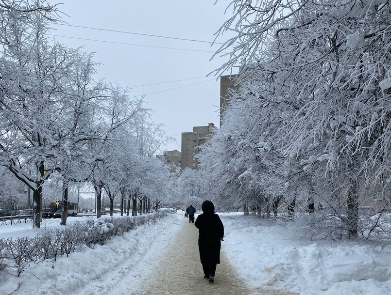 Метеорологи назвали дату прихода 30-градусных морозов