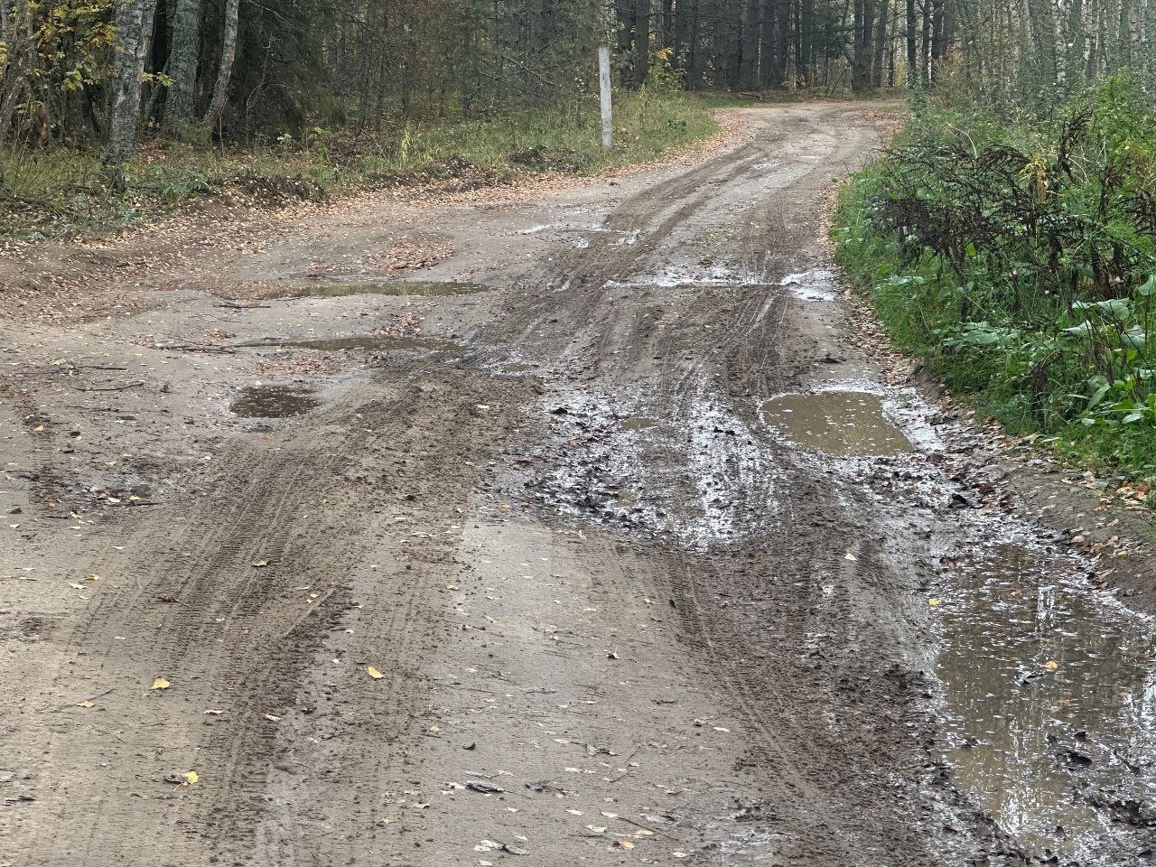 Прокуратура требует восстановить дорогу в Судогодском районе, пострадавшую при строительстве М-12