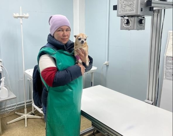 Собаку с травмированной лапой во Владимире бросили в снегу