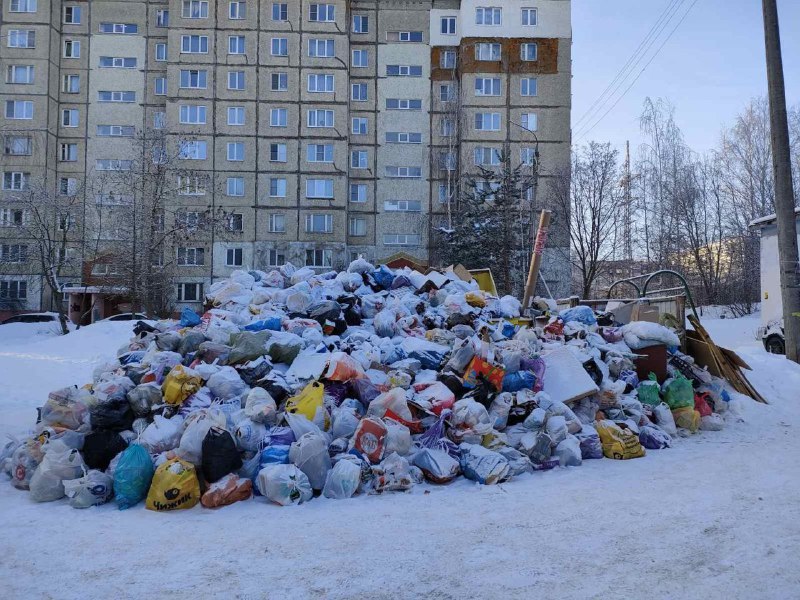 В "Биотехнологиях" рассказали, как будет решаться проблема с вывозом мусора
