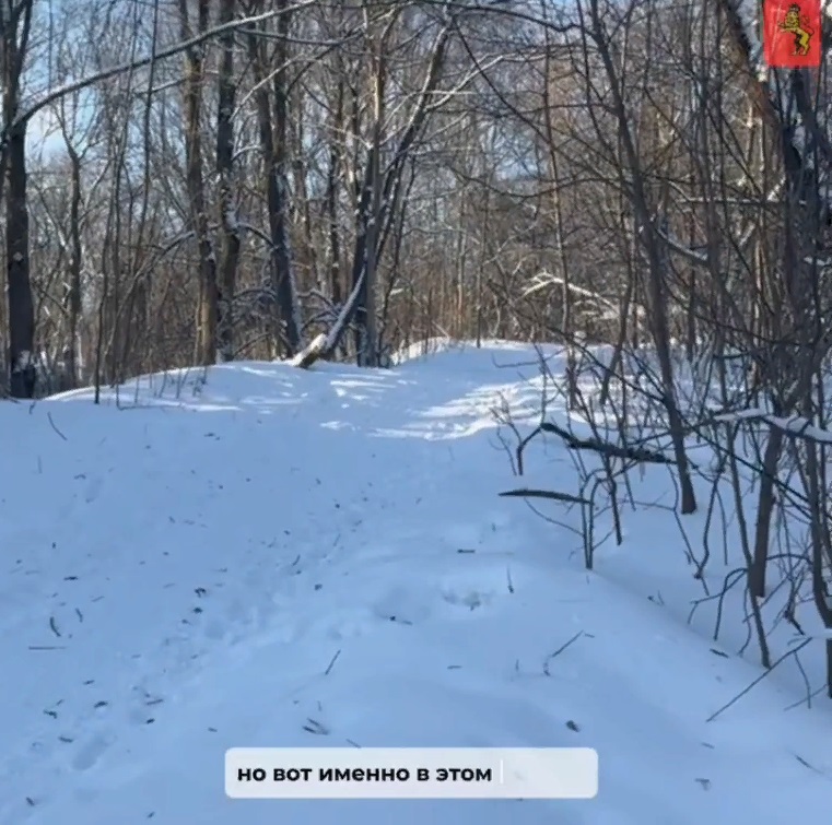 C 15 января во Владимире начнется благоустройство парка у ДТЮ