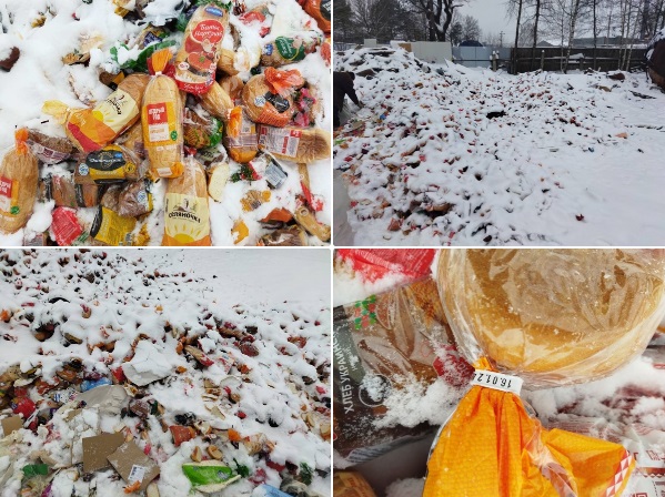 Во Владимире более 10 килограммов хлеба выбросили на свалку