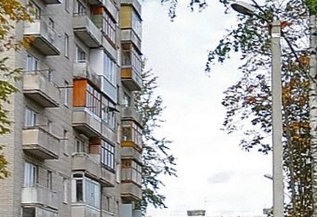 Во владимирской квартире нашли превратившийся в скелет труп женщины
