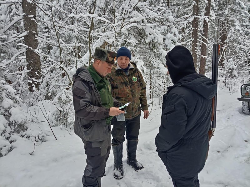 В прошлом году во Владимирской области выявили 24 случая незаконной охоты 