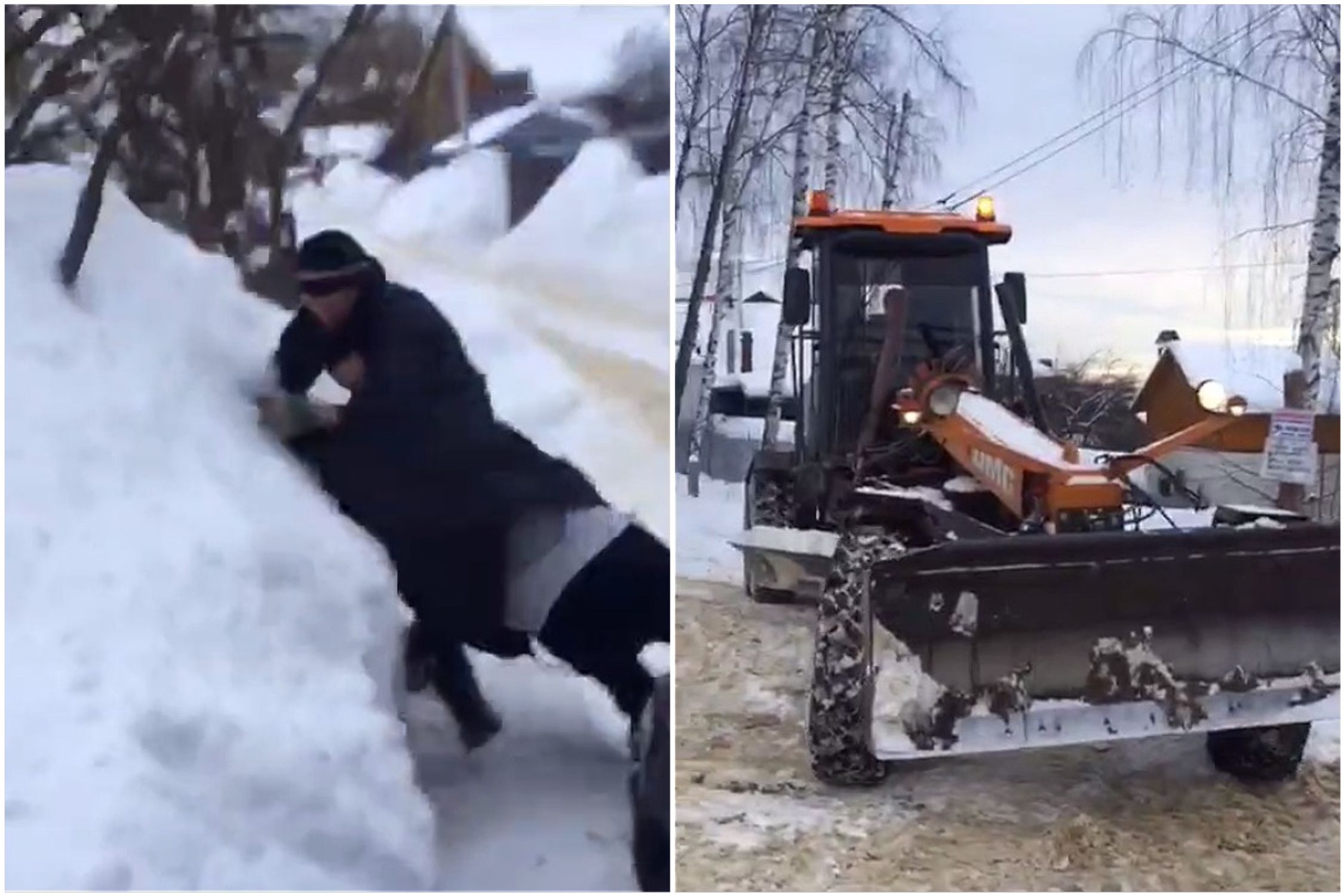 Безобразную драку устроил владимирец, не пускающий снегоуборочную технику на свою улицу