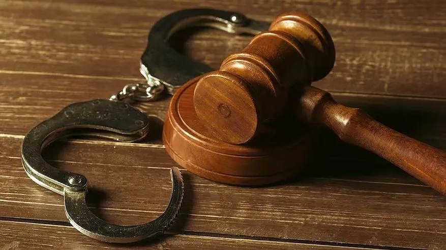 Земельные участки украинского олигарха-экстремиста во Владимирской области изъяли в доход РФ 