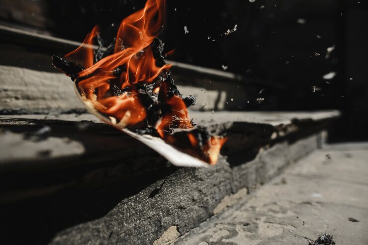 На даче в Киржаче сгорела женщина вместе с шестью своими собаками