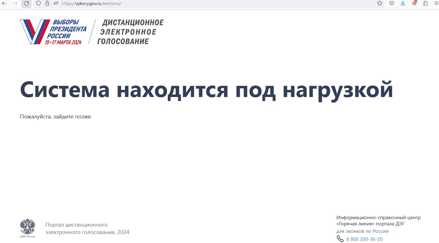 Владимирцы в первый день выборов Президента не могут проголосовать дистанционно