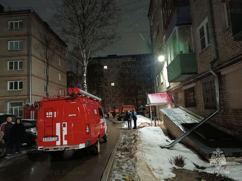 Во Владимирской области в пожаре пострадали 2 человека