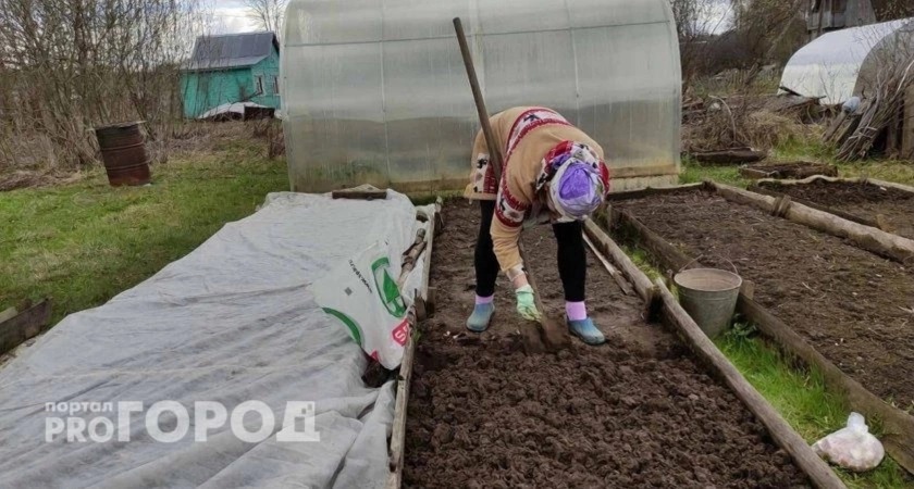  владельцы дач и огородов в России потрясены новым жестким правилом