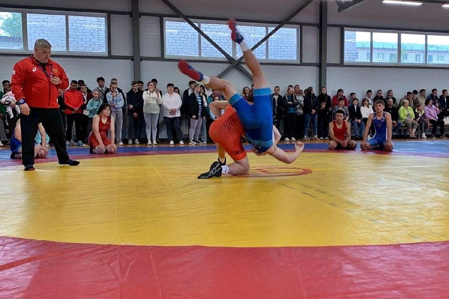 Во Владимире появится Центр спортивной борьбы за 1 млрд рублей