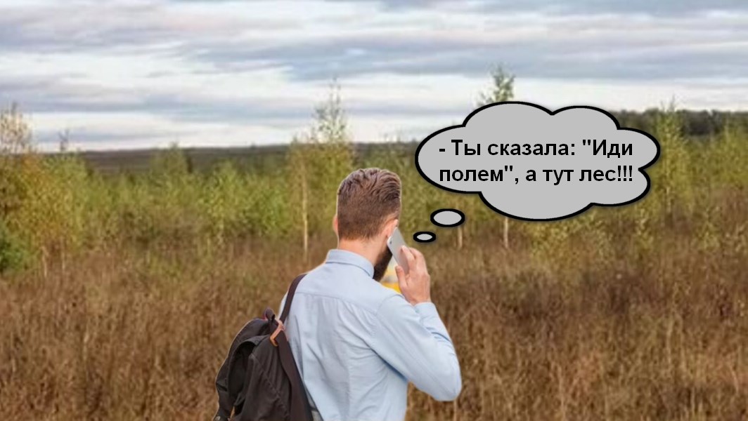 Собственнице земли в Александровском районе удвоили штраф за зарастание участка