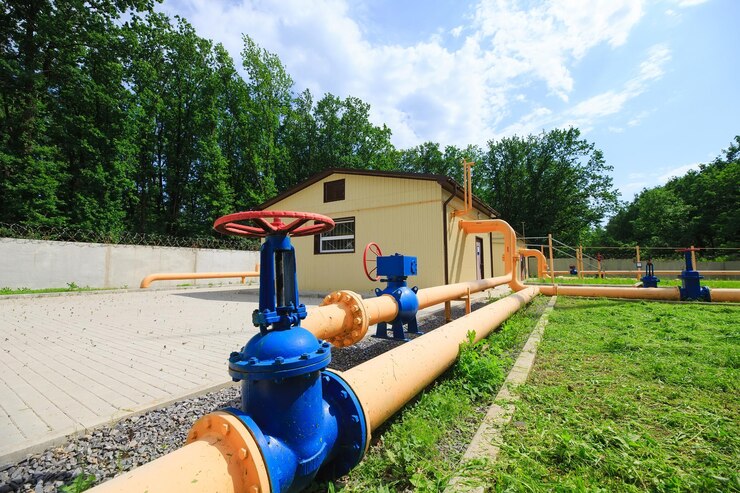 Во Владимирской области начинается инвентаризация СНТ вблизи газифицированных пунктов