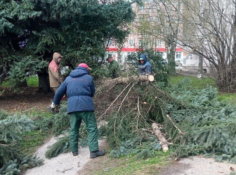 Владимирские коммунальщики устраняют последствия шквалистого ветра