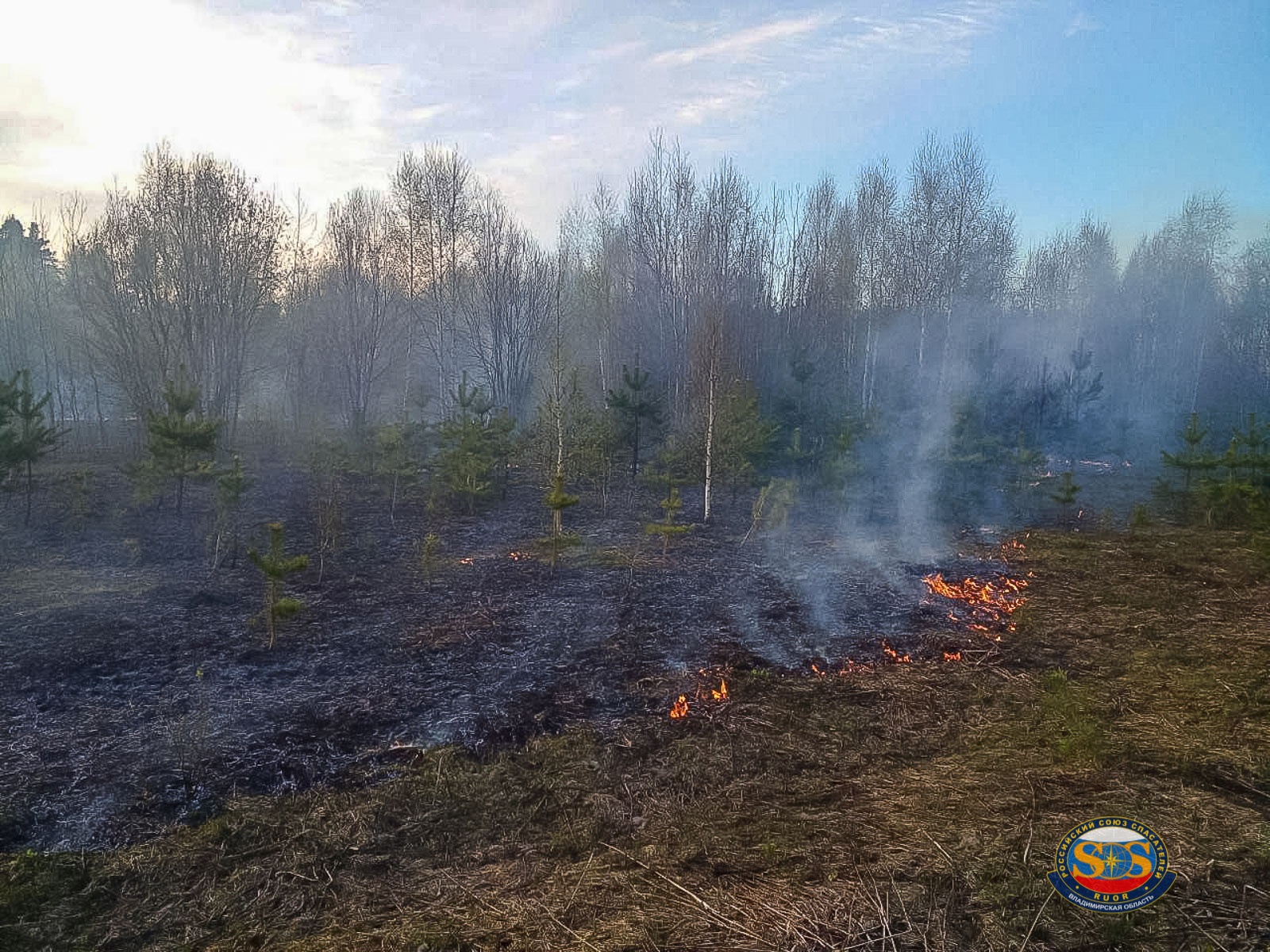 Во Владимирской области спасатели потушили очередной ландшафтный пожар 