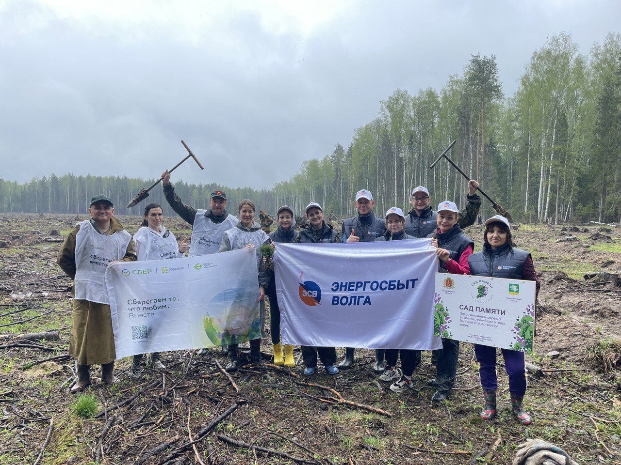 Волонтеры Сбера приняли участие в посадке леса во Владимирской области