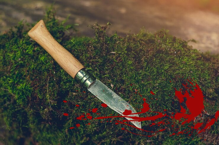 В Гороховце осужден «Отелло», убивший собутыльника в палисаднике