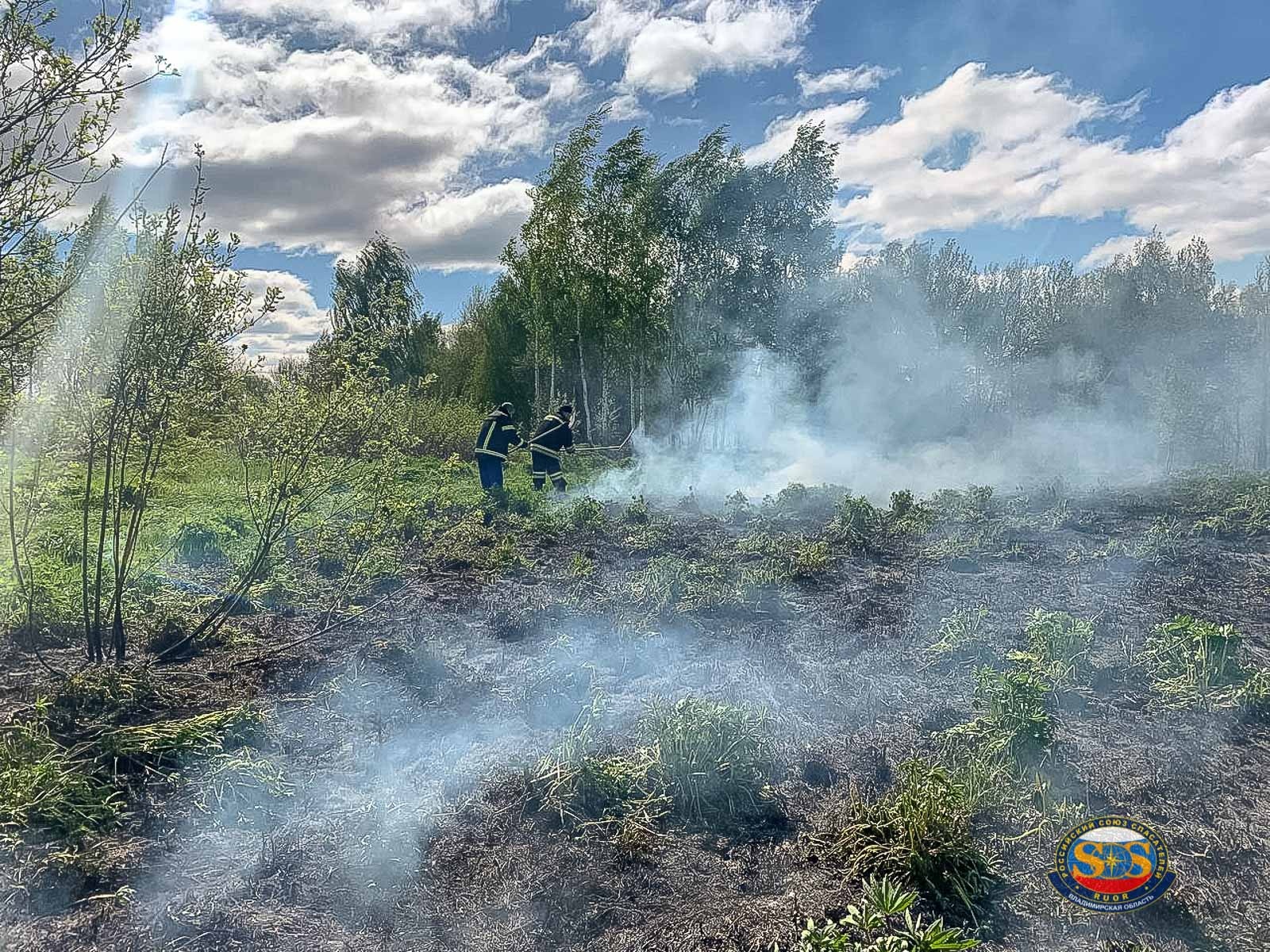 Спасатели потушили ландшафтный пожар в Камешковском районе 