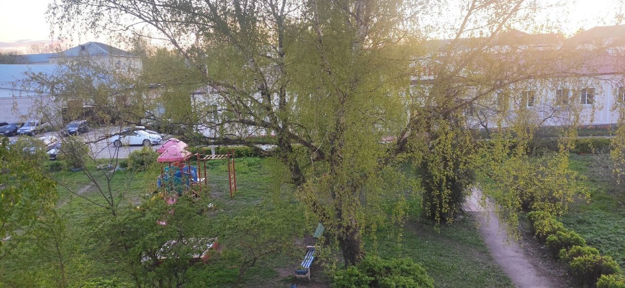 Во Владимирской области школьный водитель завел в кусты 6-летнюю девочку ради развратных действий