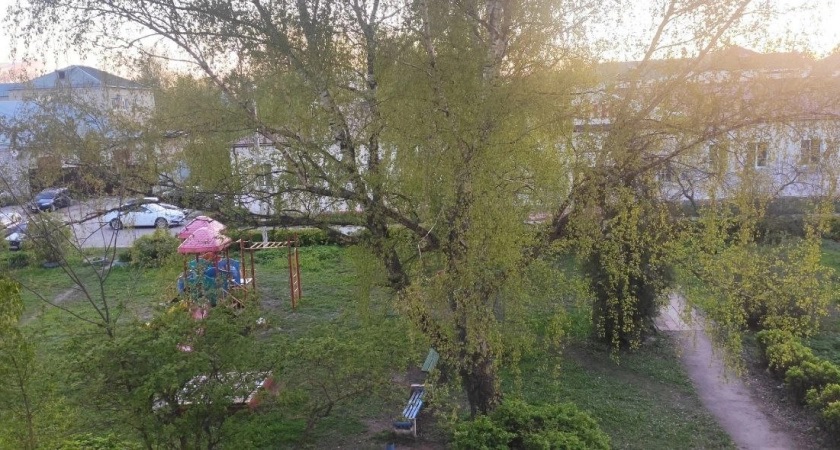 В Юрьев-Польском заключили под стражу подозреваемого в домогательствах к 6-летней девочке 
