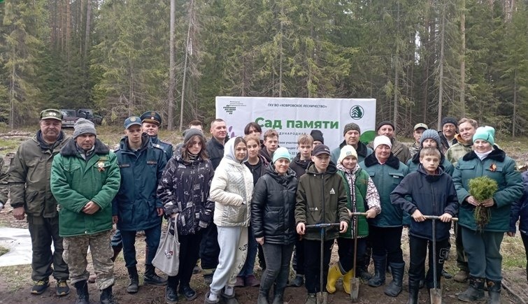 Во Владимирской области высадили более 30 тысяч деревьев в рамках акции "Сад памяти"