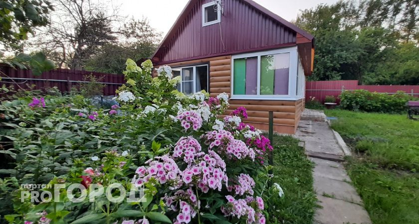  всех садоводов и огородников ждет сюрприз