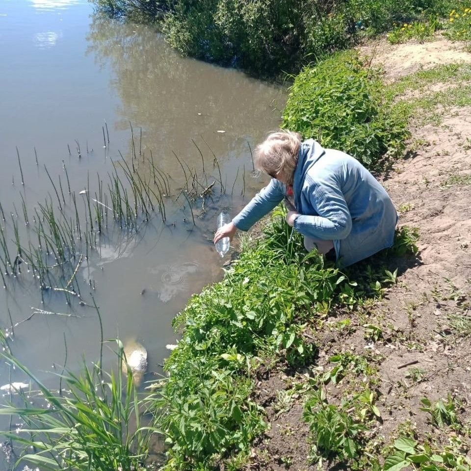 Жители одной из деревень Киржачского района пожаловались на зловонный запах и гибель рыбы в водоеме 