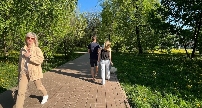  Володина предрекла новую должность и важный переезд