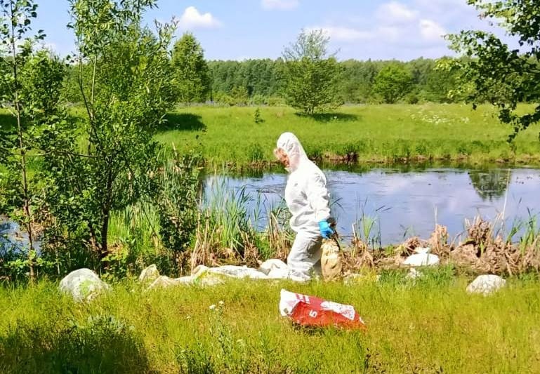 В Киржачском районе расследуют сброс в воду более 100 трупов уток в мешках