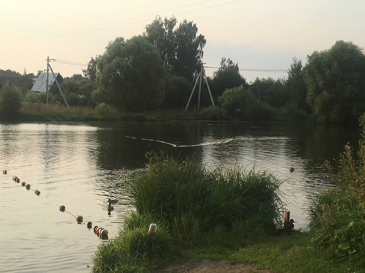 Роспотребнадзор запретил купаться в озерах Семязино и Глубокое во Владимире 