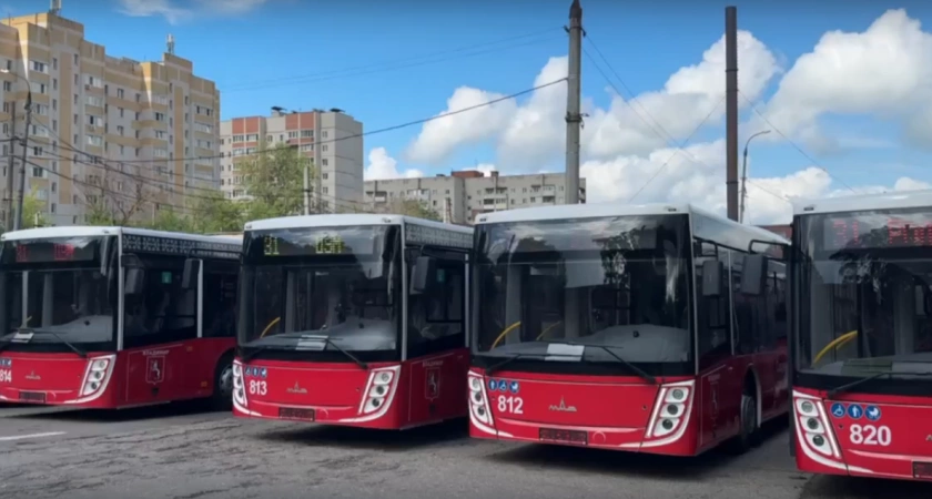В России могут появиться автобусы по вызову